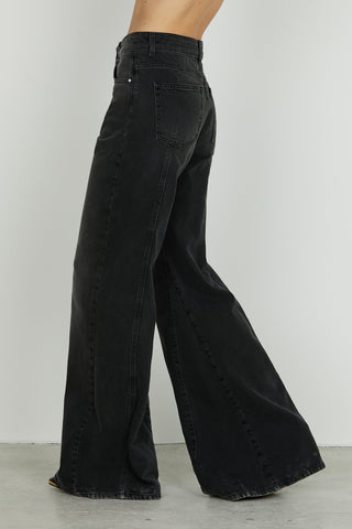 Panta DAKOTA_30 vita alta 5 ts wild fit denim black