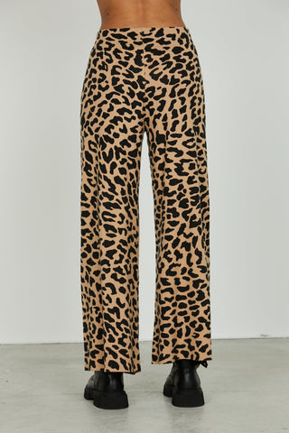 Panta ESTRELA fantasia maculata